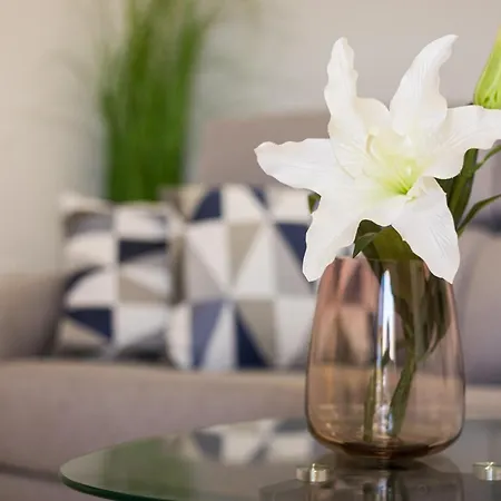 Yamarys アパート