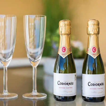 Yamarys * Коста Калма