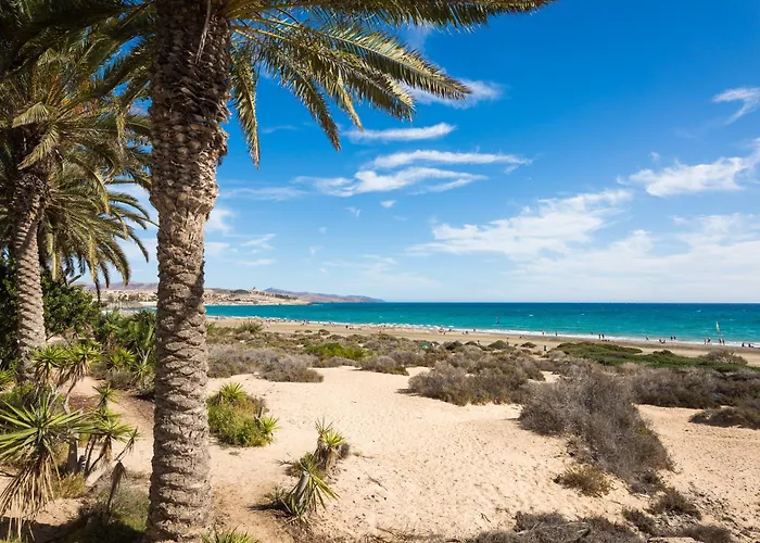 Yamarys Апартаменты